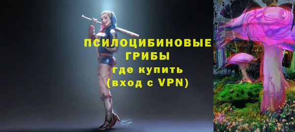 ГАЛЛЮЦИНОГЕННЫЕ ГРИБЫ Беломорск