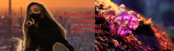 не бодяженный Белокуриха