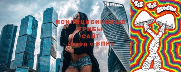 ГАЛЛЮЦИНОГЕННЫЕ ГРИБЫ Беломорск