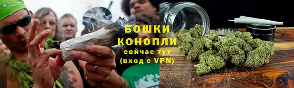 первитин Козельск