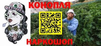 гашик Новодвинск