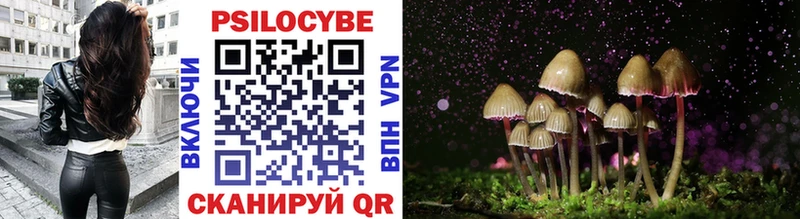 Галлюциногенные грибы Cubensis  darknet какой сайт  Печора 